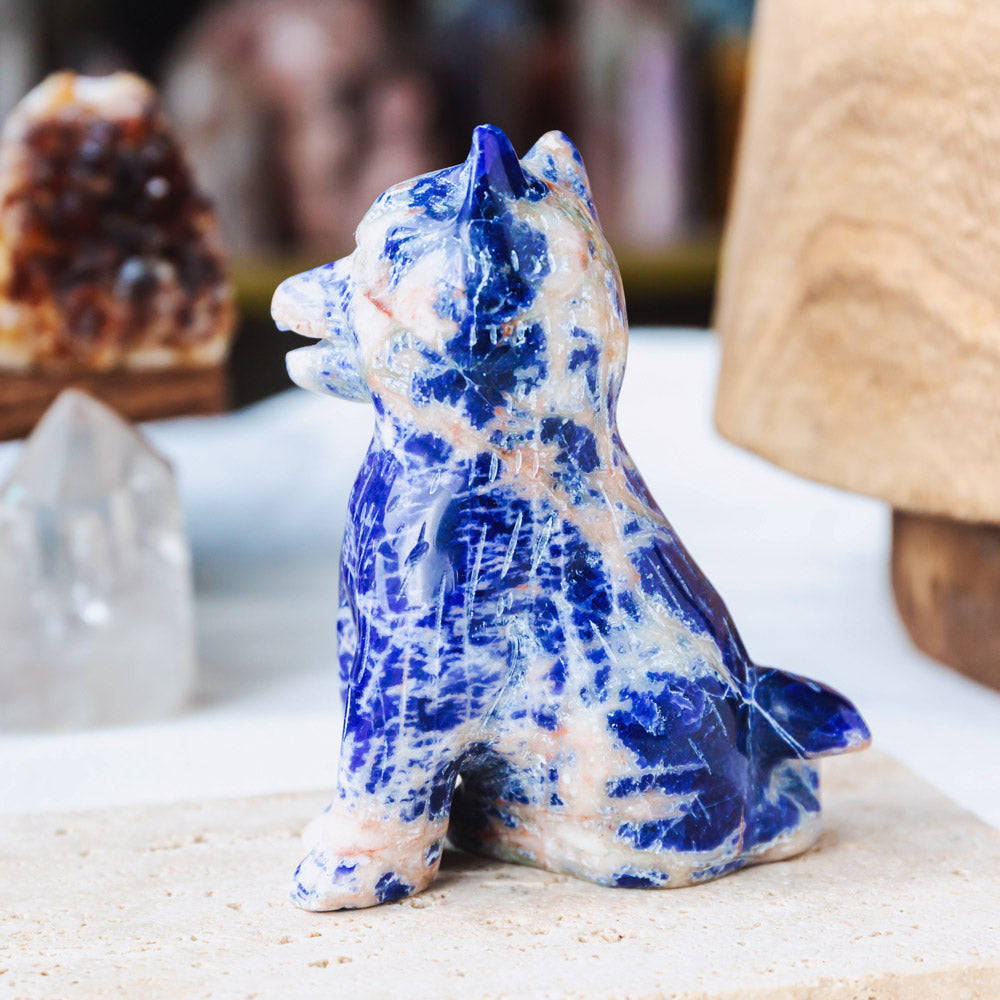 Sodalite Husky