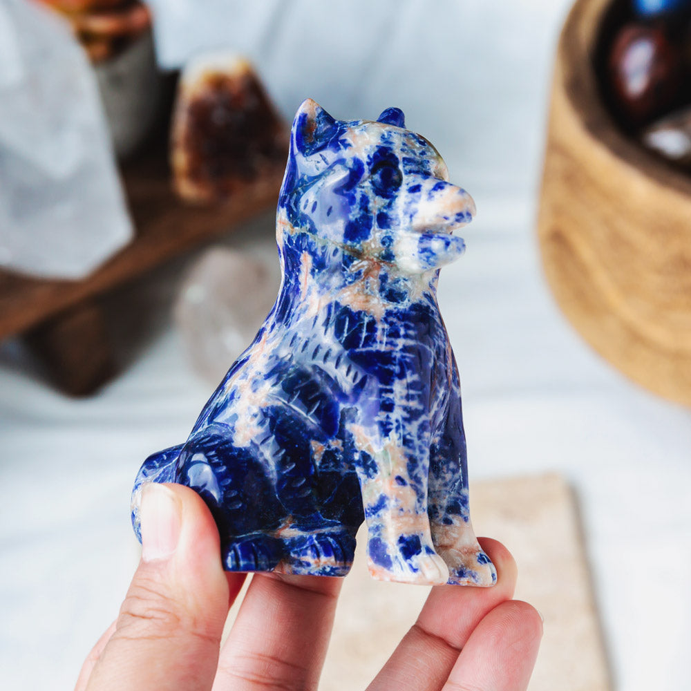 Sodalite Husky