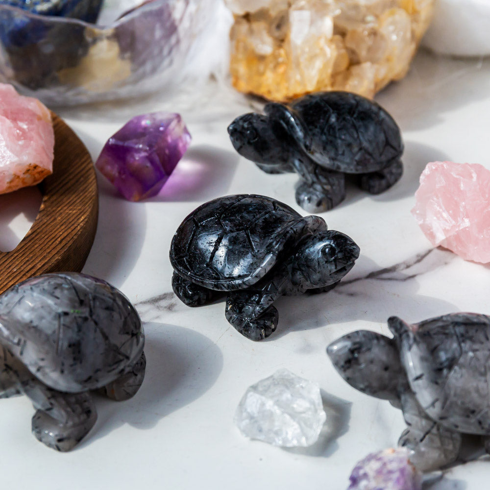 Black Tourmaline In Clear Quartz Turtle