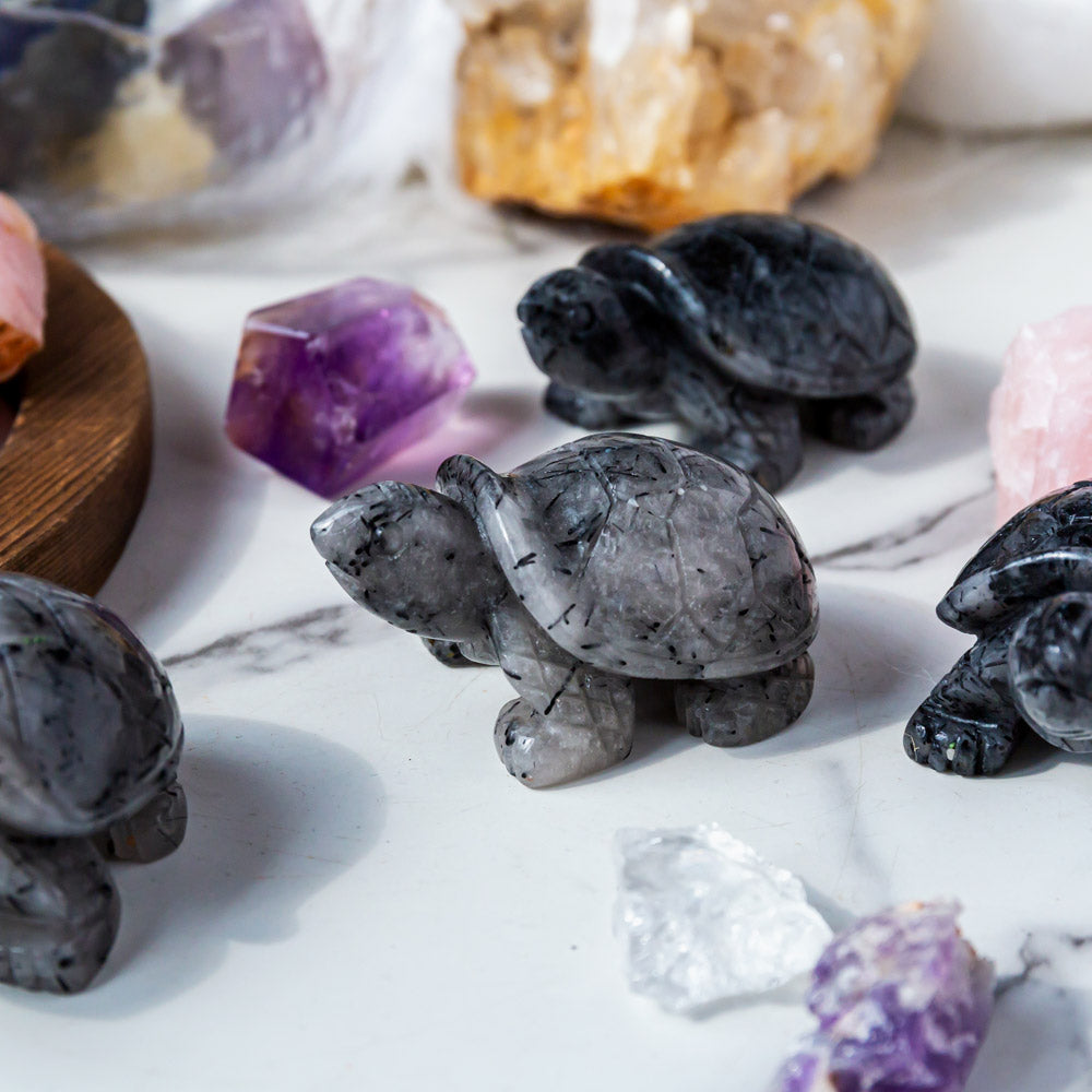 Black Tourmaline In Clear Quartz Turtle