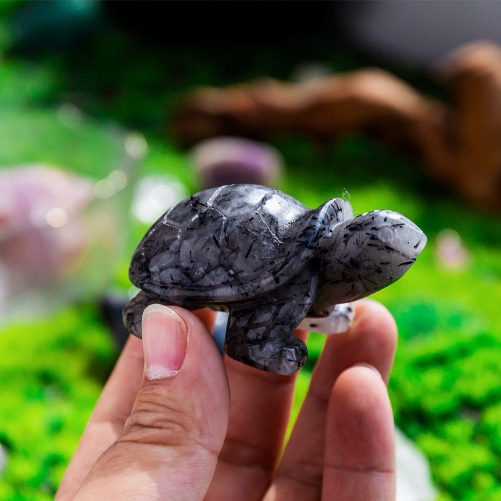 Black Tourmaline In Clear Quartz Turtle