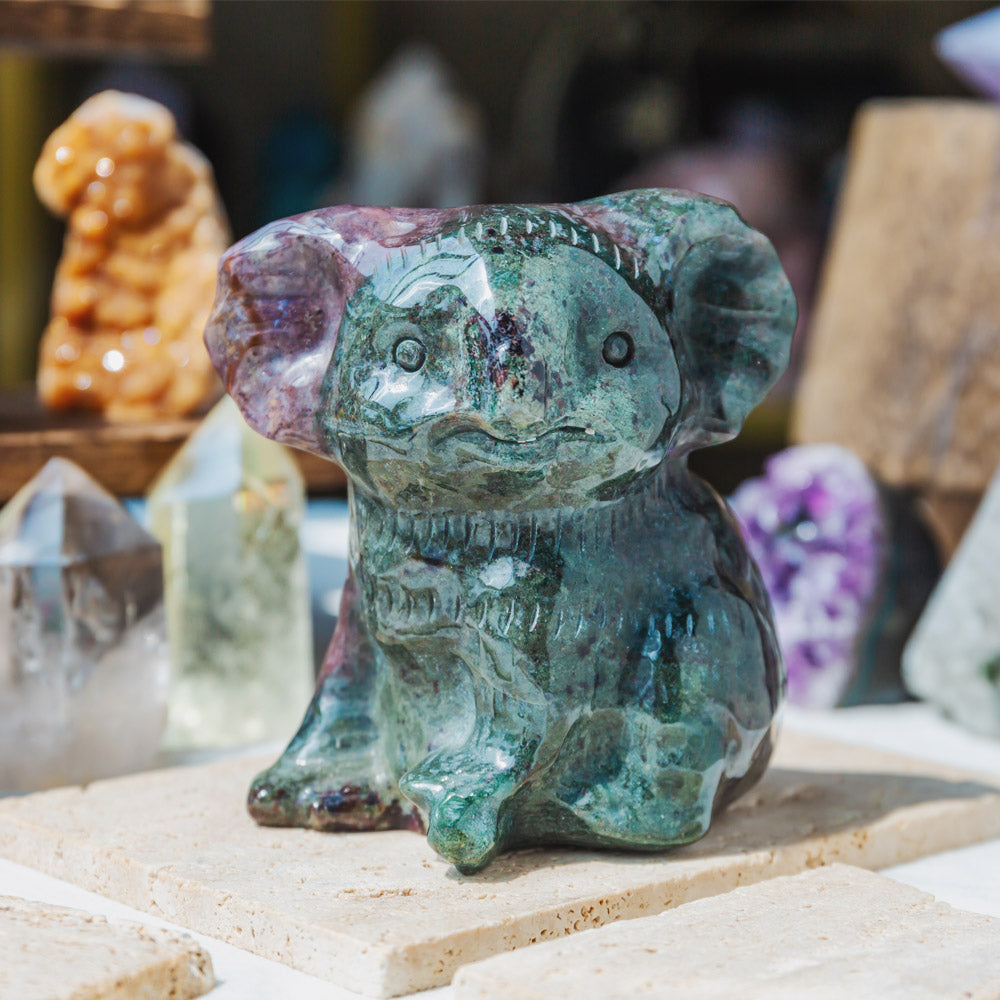 Ocean Jasper Koala