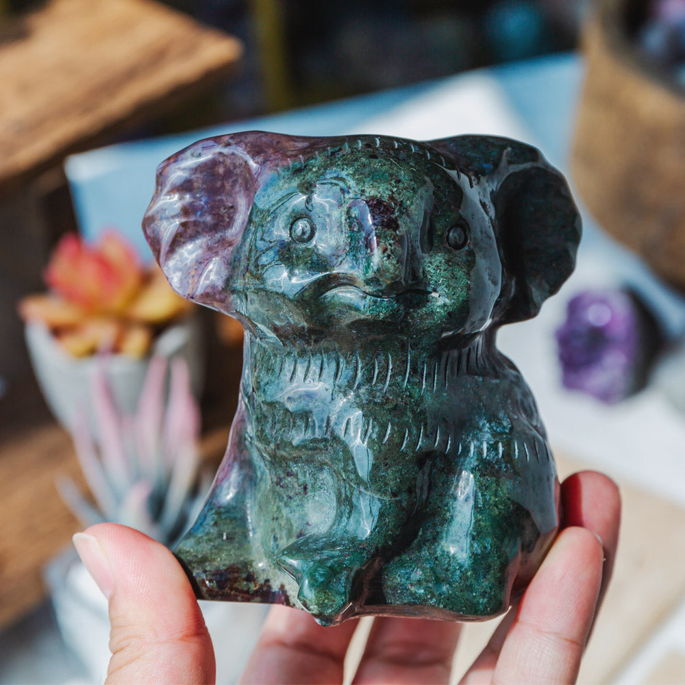 Ocean Jasper Koala