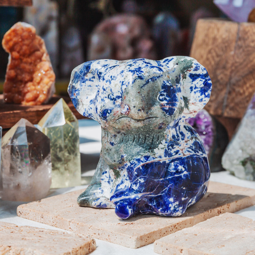 Sodalite Koala