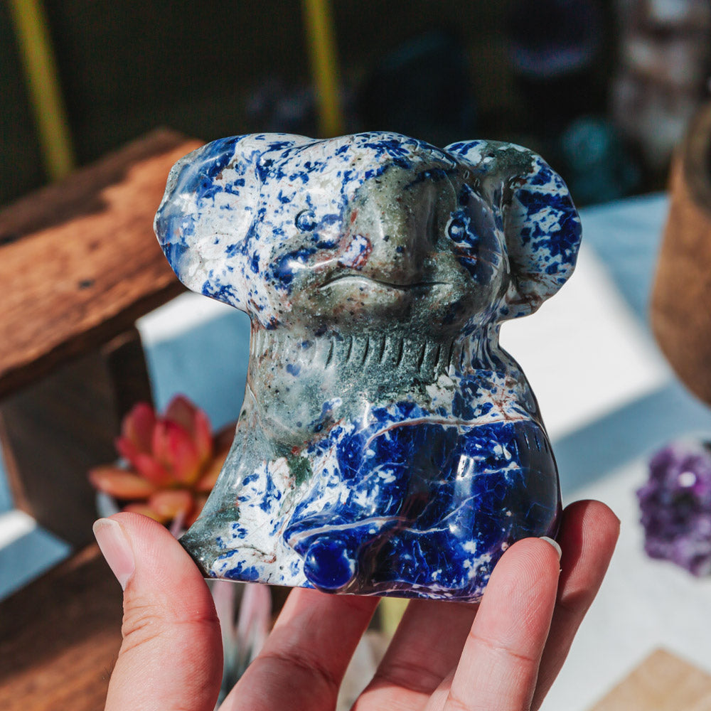 Sodalite Koala