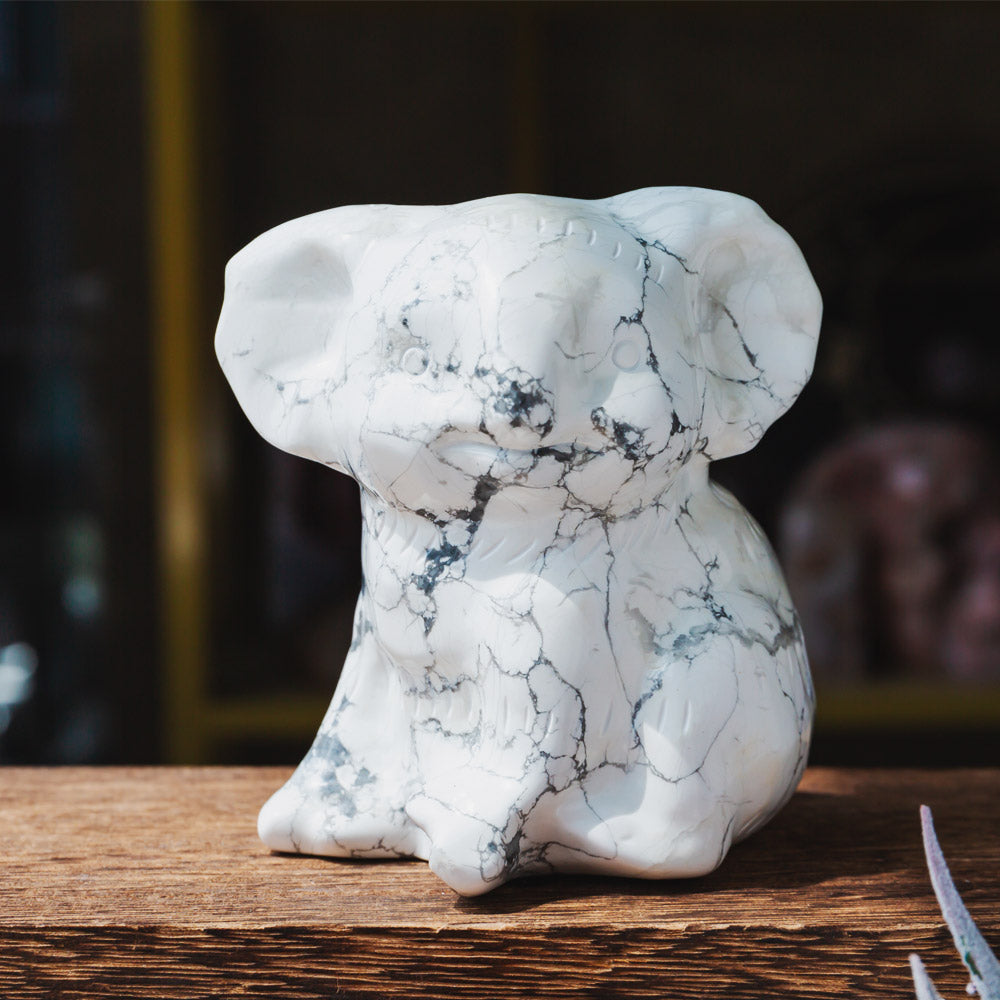 Howlite Koala