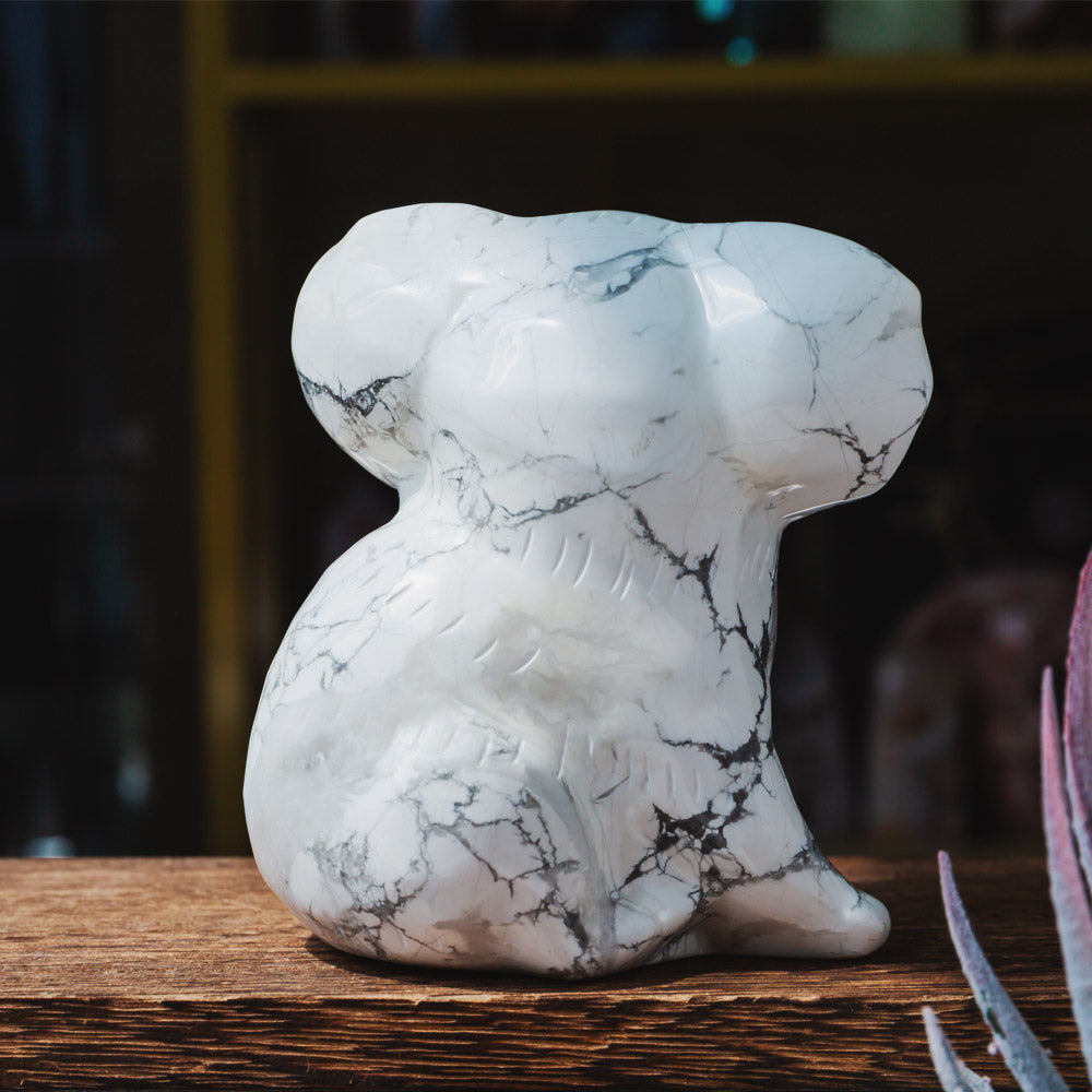 Howlite Koala