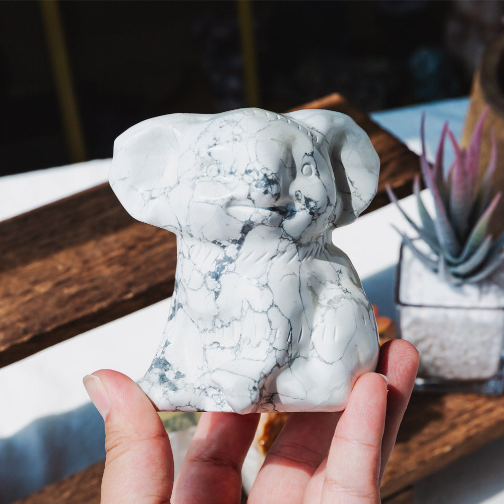 Howlite Koala