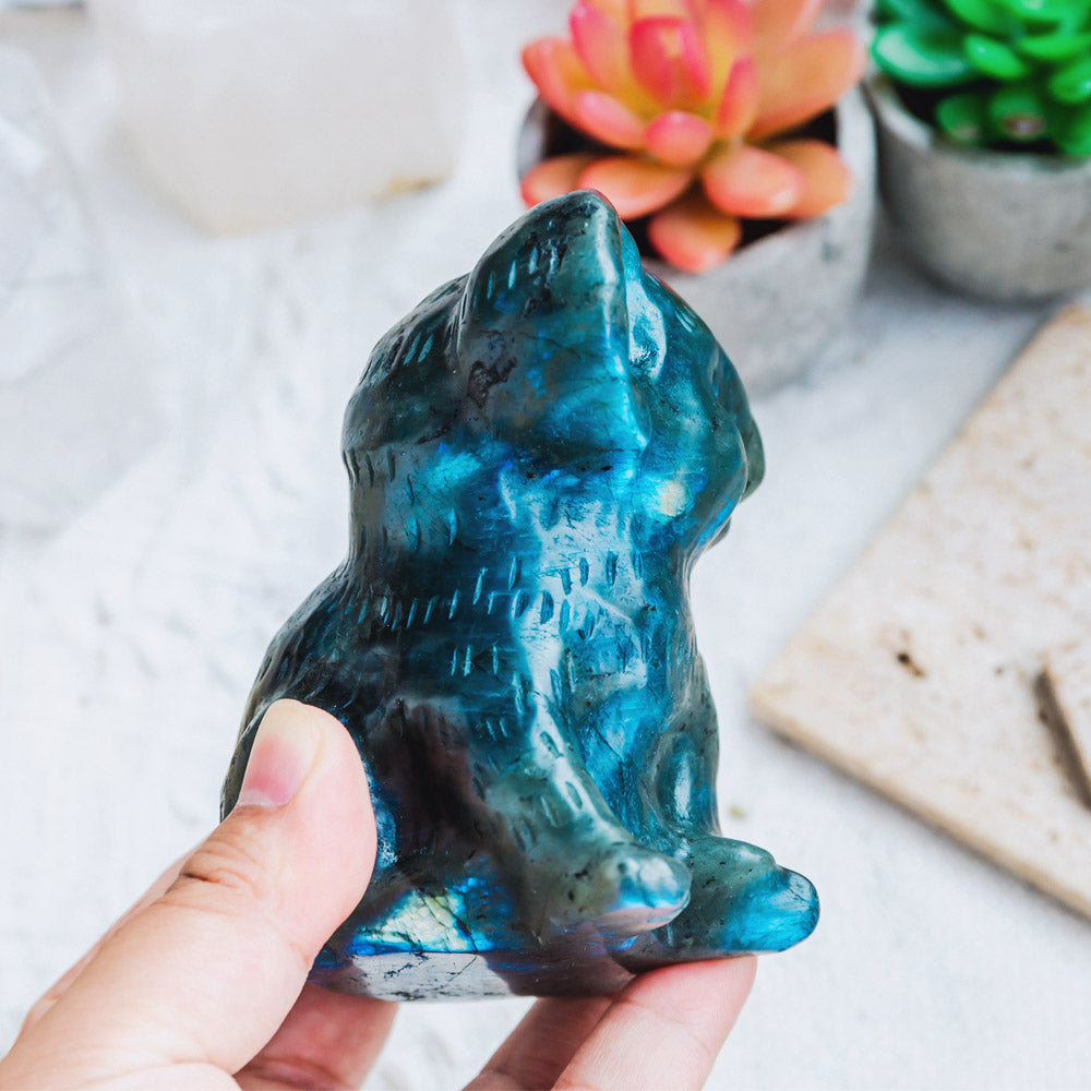 Labradorite Koala