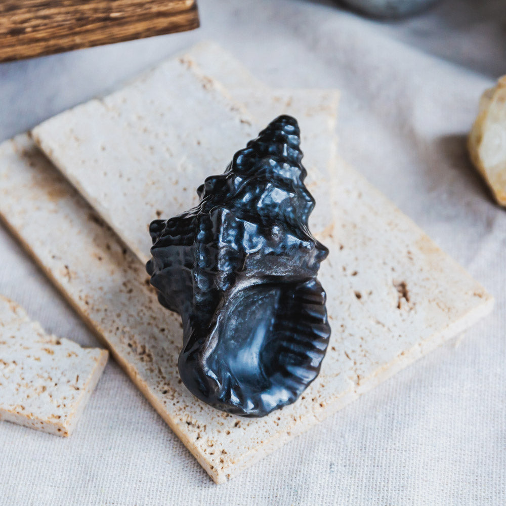 Silver Sheen Obsidian Conch