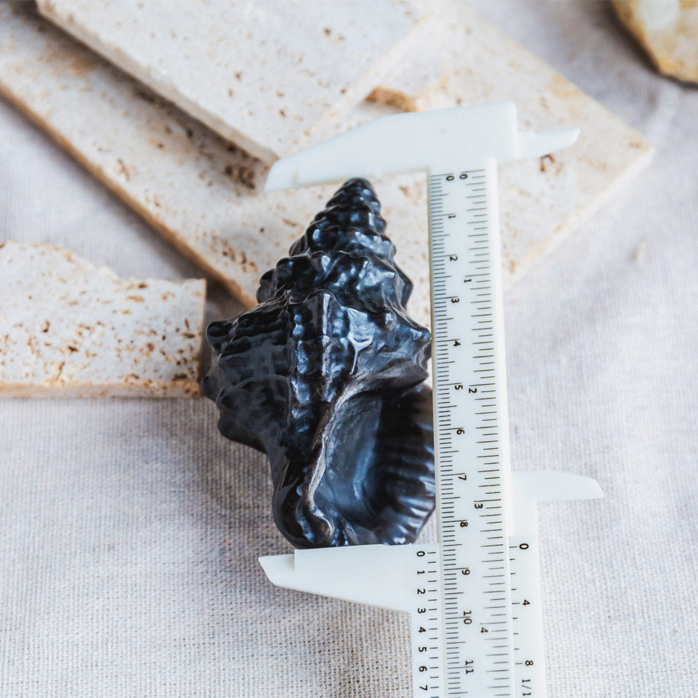 Silver Sheen Obsidian Conch