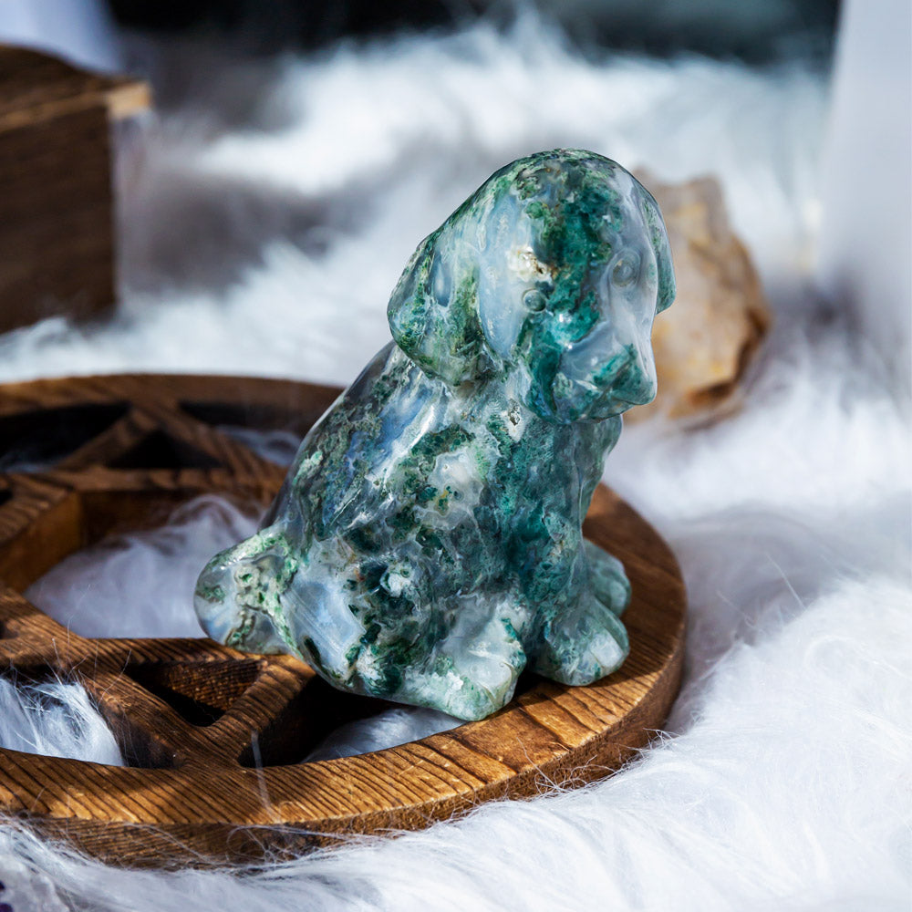 Moss agate dog