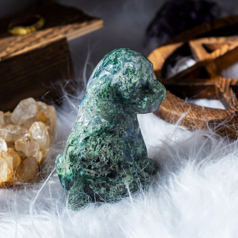 Moss agate dog