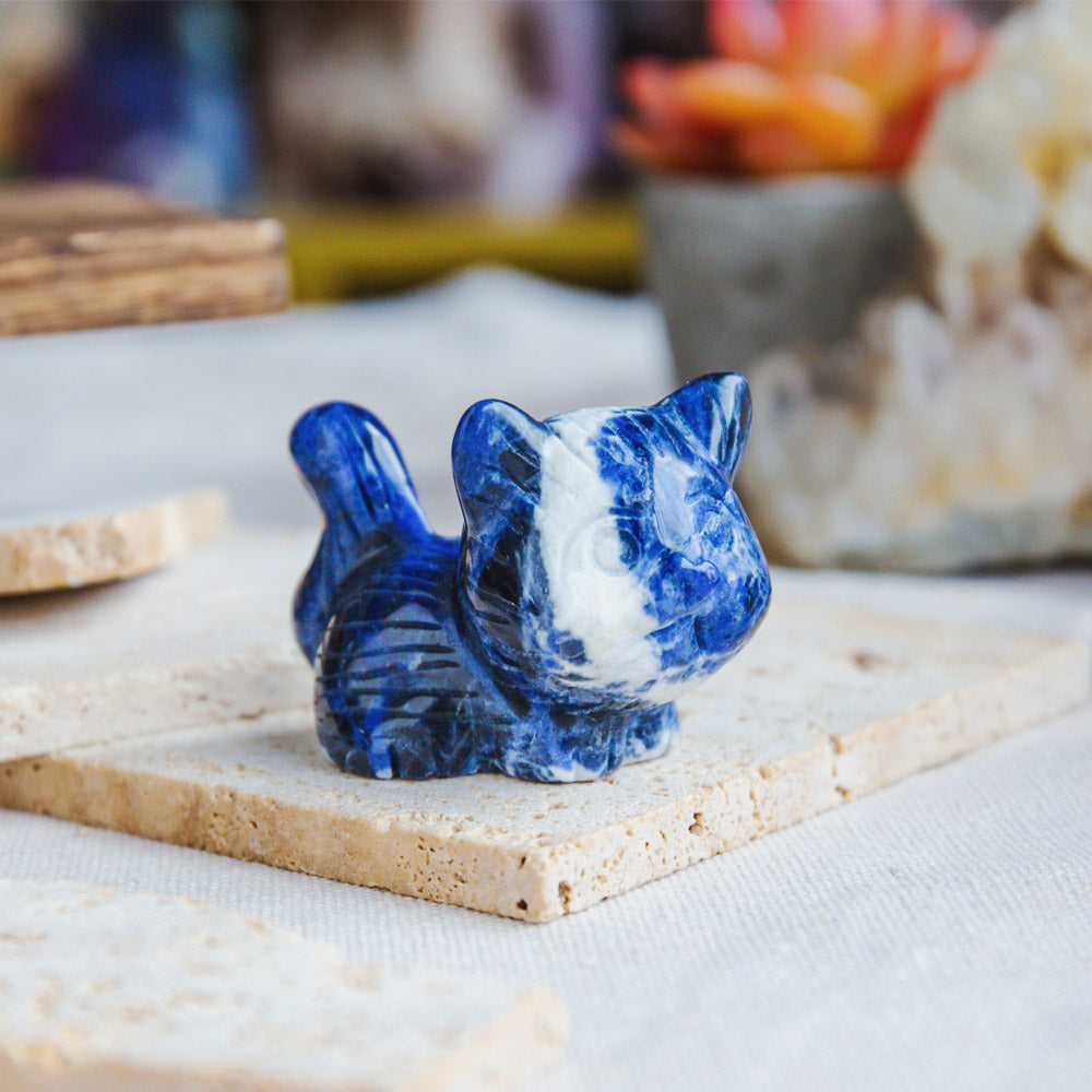 Sodalite Cat