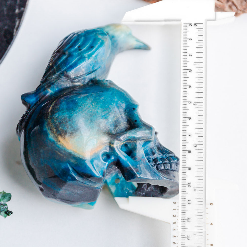 Trolleite Skull With Crow