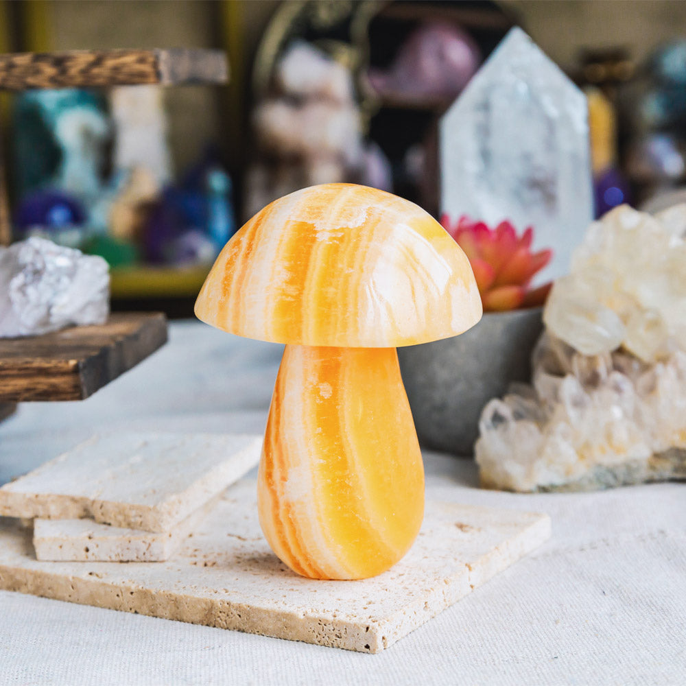 Banding Orange Calcite Mushroom