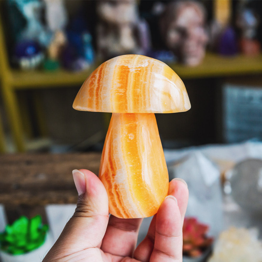 Banding Orange Calcite Mushroom