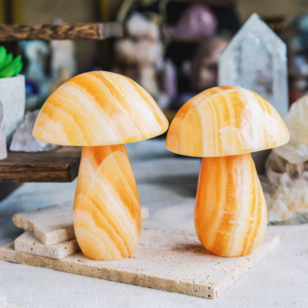 Banding Orange Calcite Mushroom