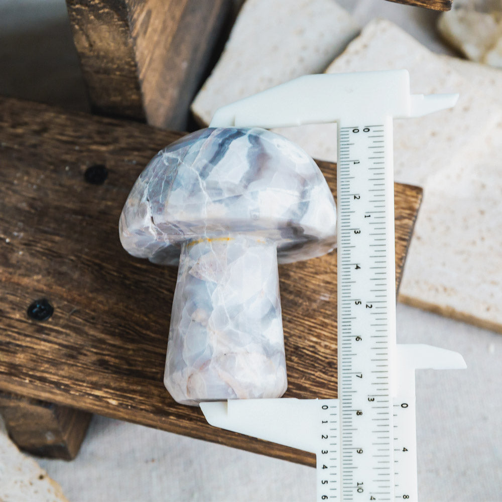 White Crazy Lace Agate Mushroom