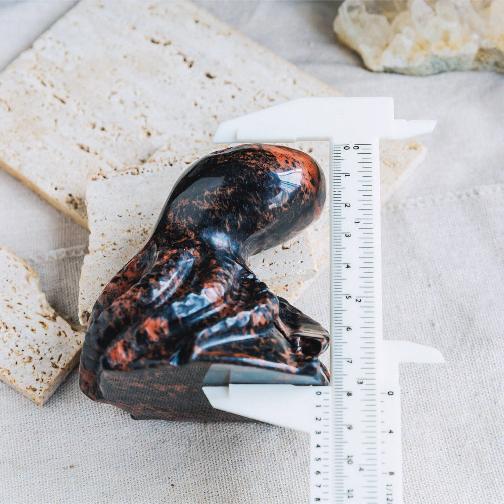 Mahogany Obsidian Octopus