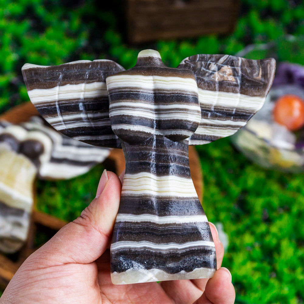 Zebra calcite Winged Body