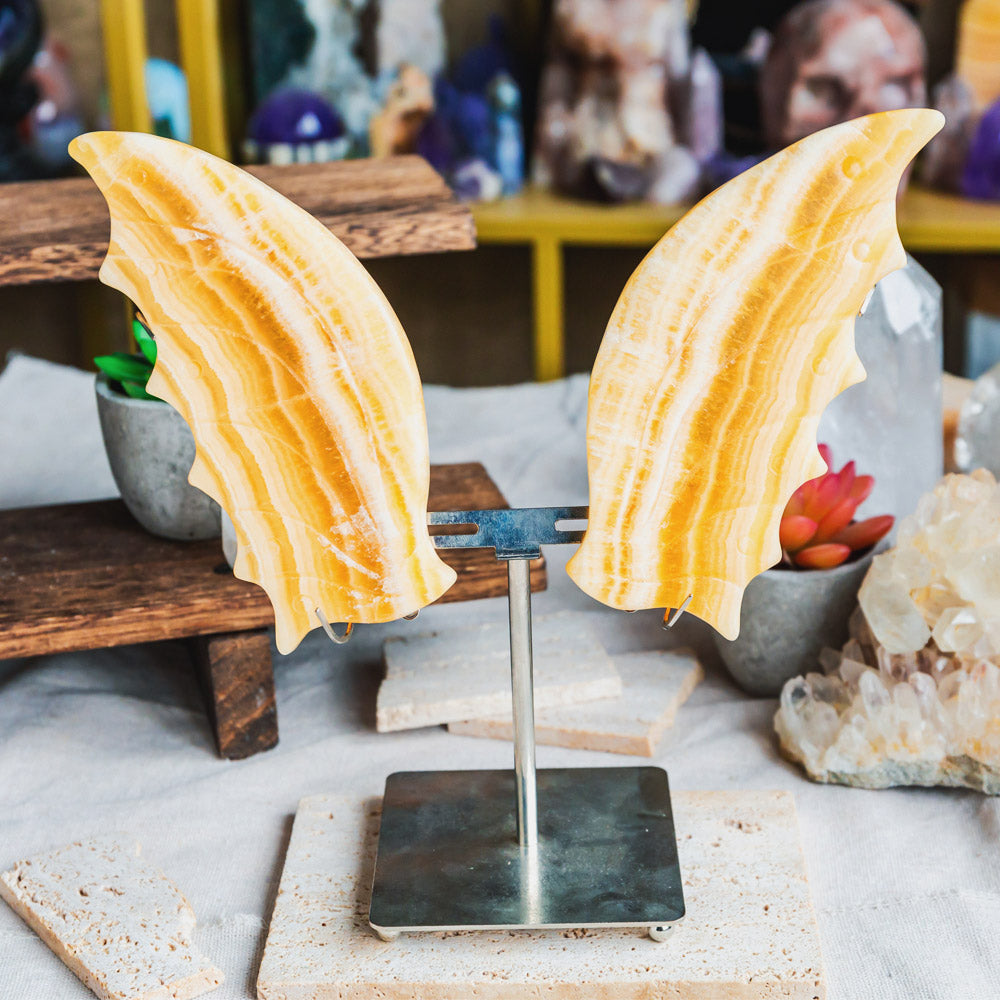 Banding Orange Calcite Butterfly Wings