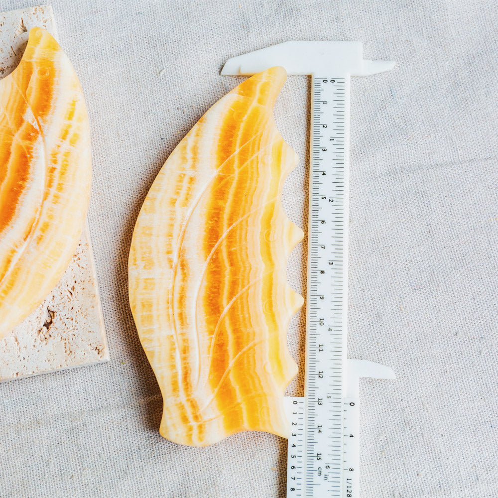 Banding Orange Calcite Butterfly Wings