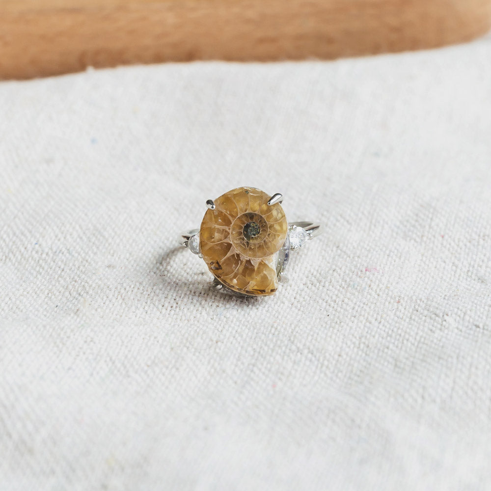 Fossil Snail Ring