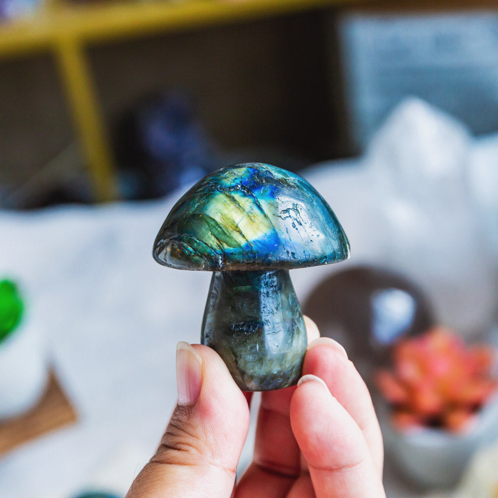 Labradorite Mushroom