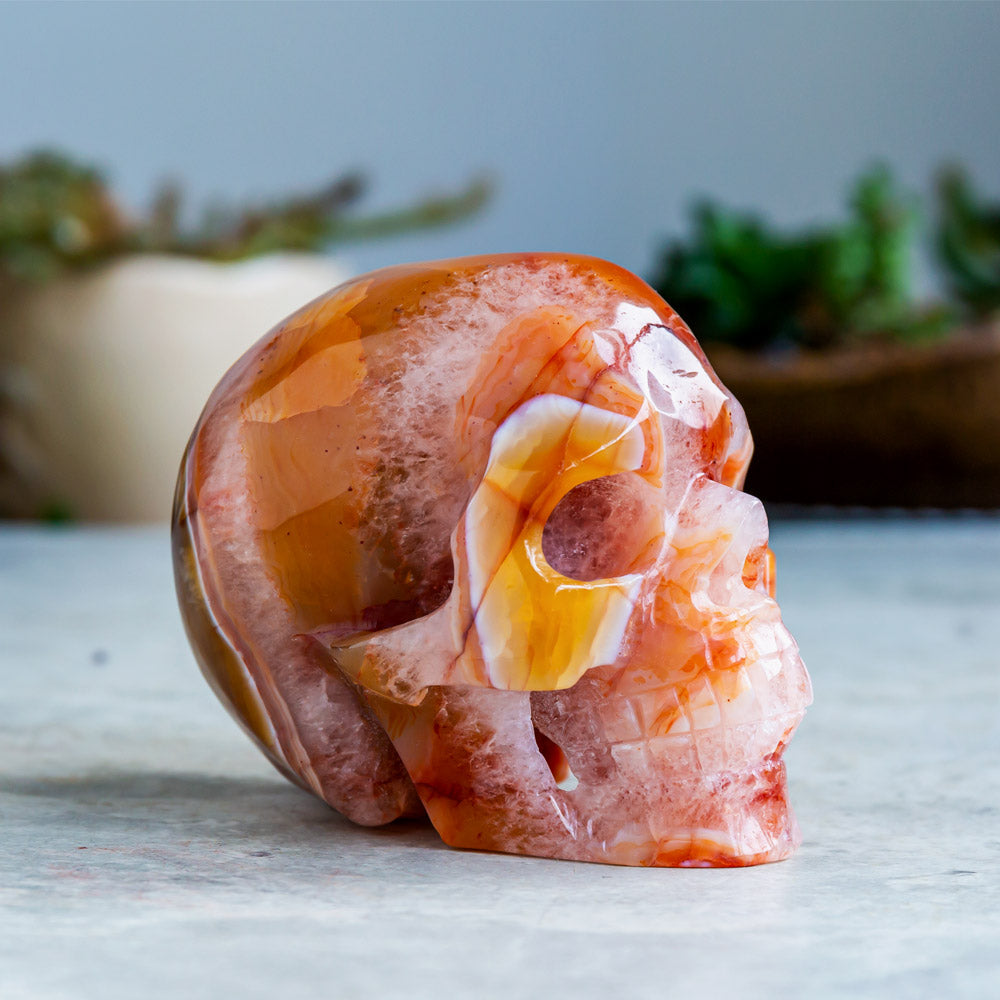 Carnelian Skull