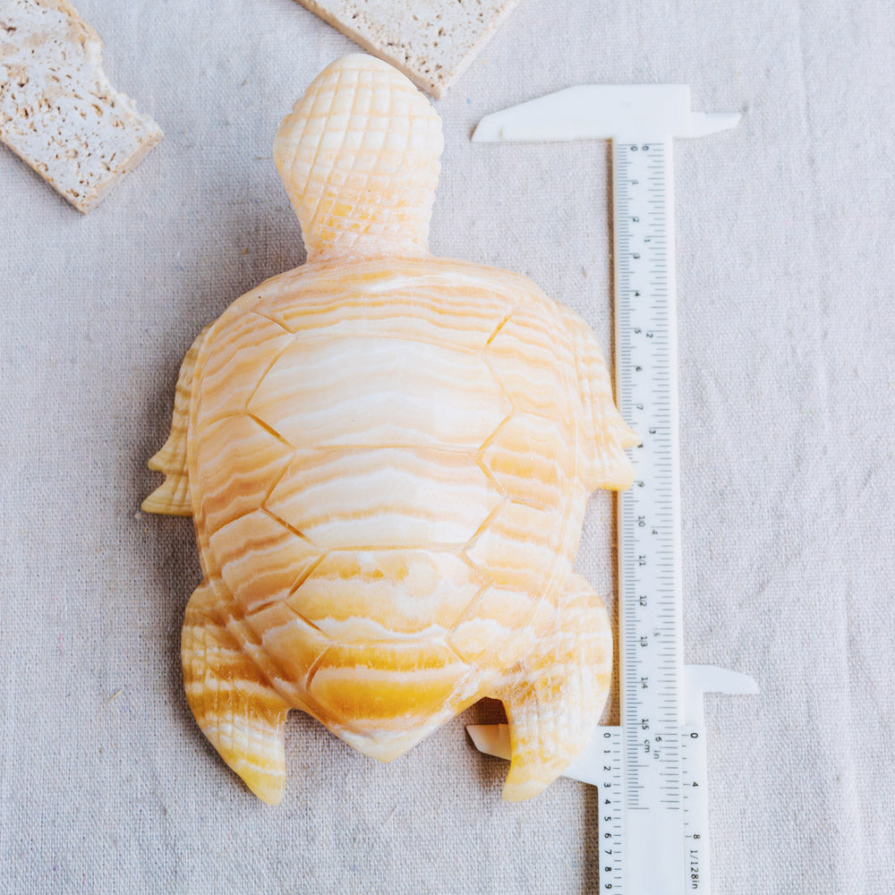 Banding Orange Calcite Turtle