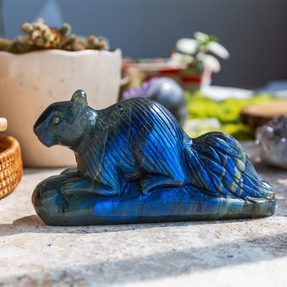 Labradorite Squirrel