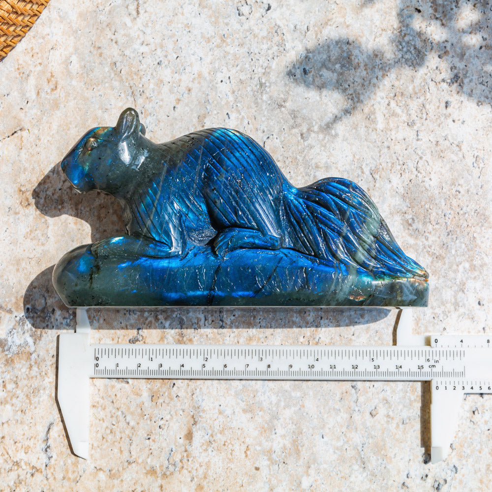 Labradorite Squirrel