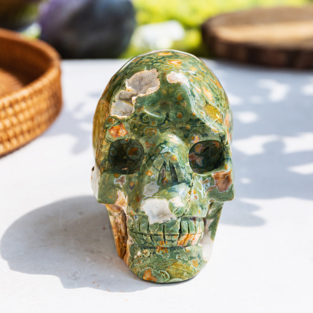 Rainforest Jasper Skull