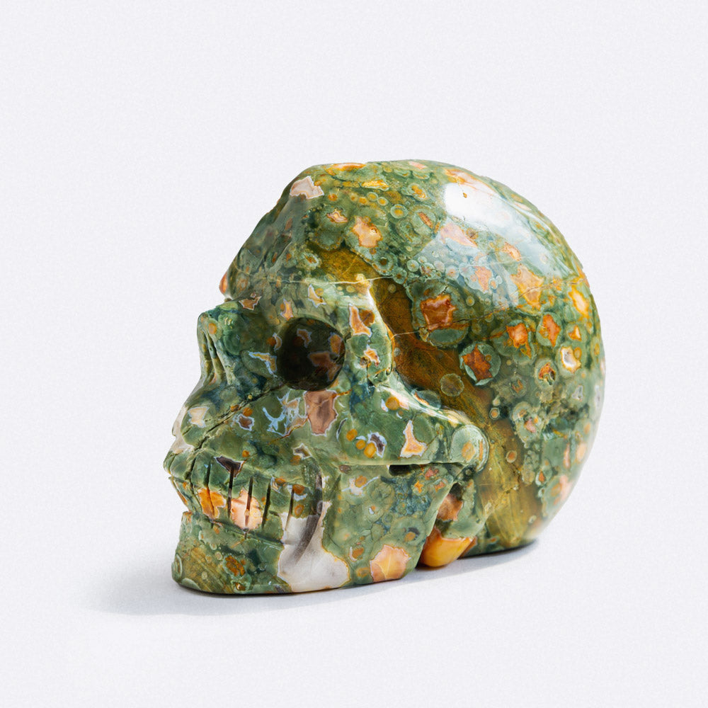 Rainforest Jasper Skull