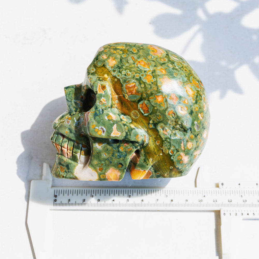 Rainforest Jasper Skull