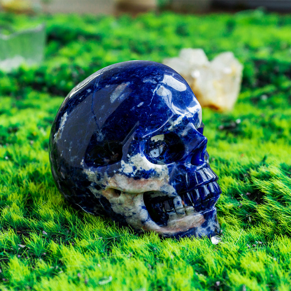 Sodalite Hollow out Skulls