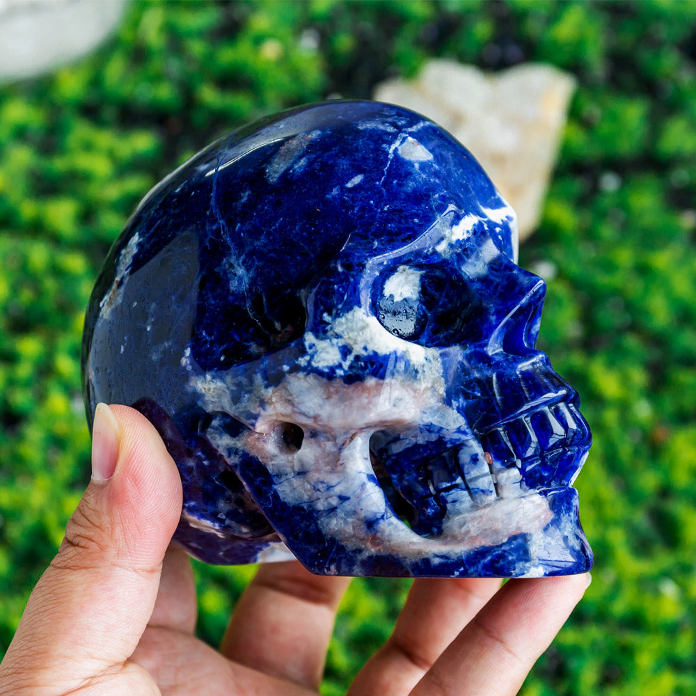 Sodalite Hollow out Skulls