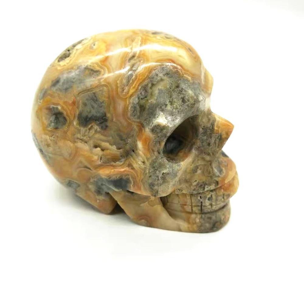 Crazy Lace Agate Skull