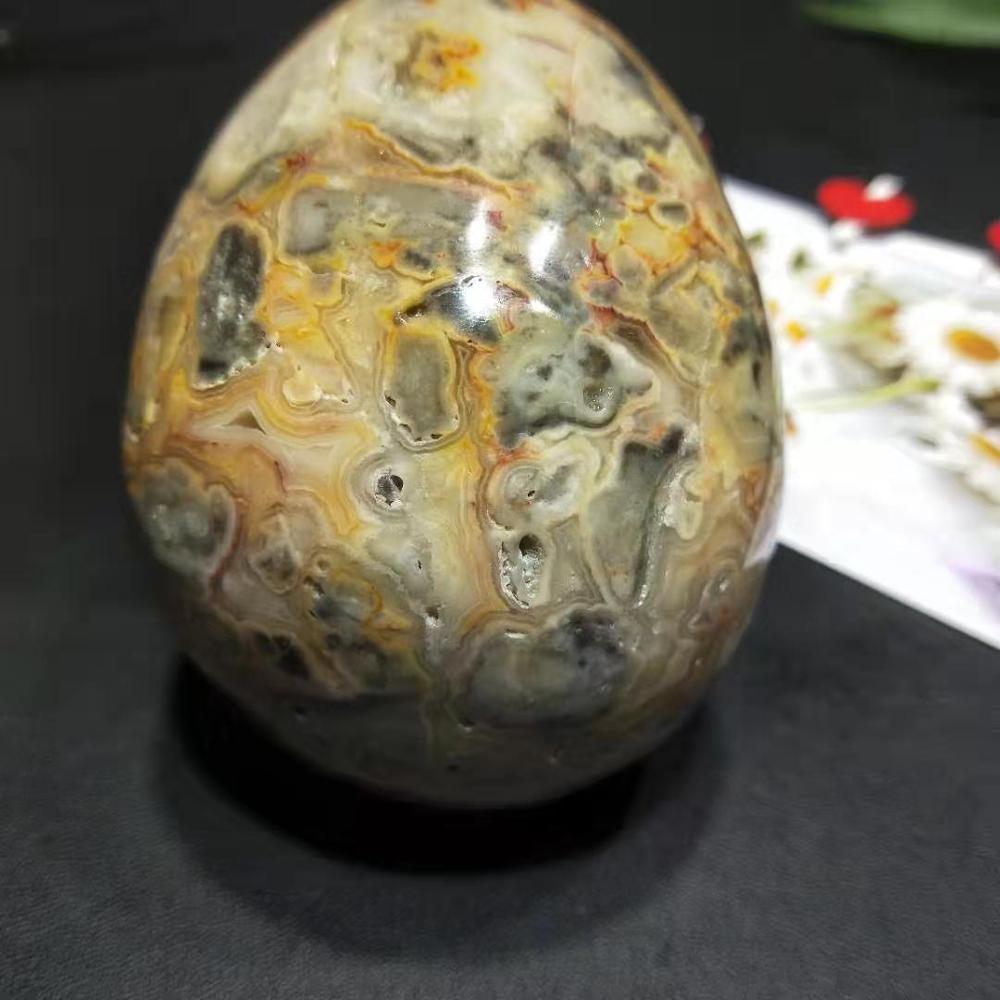 Crazy Lace Agate Skull