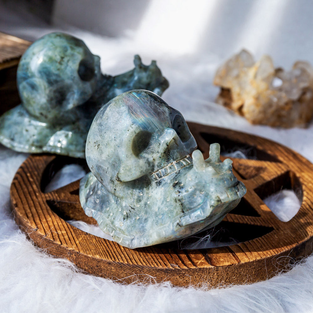 Labradorite snail skull