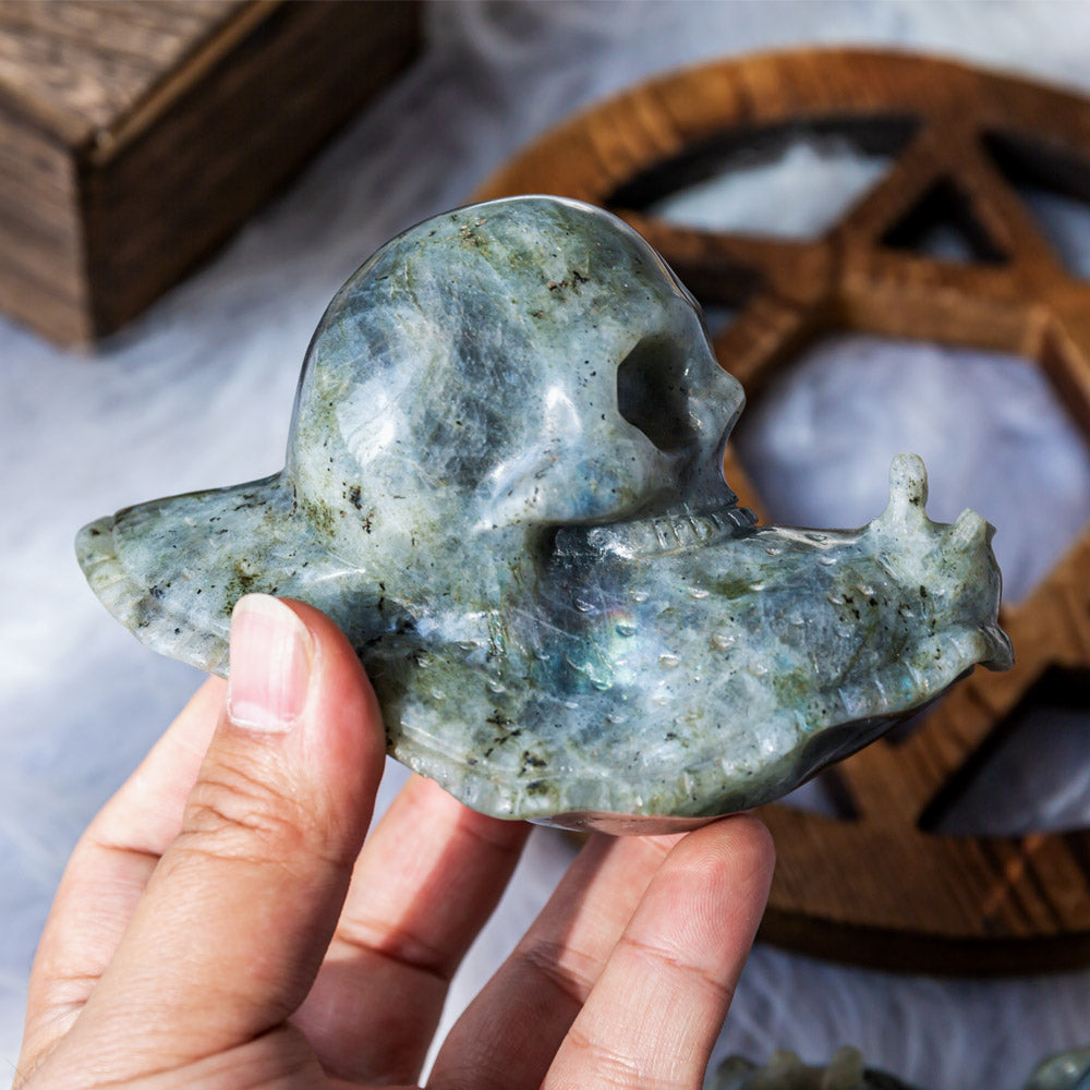 Labradorite snail skull