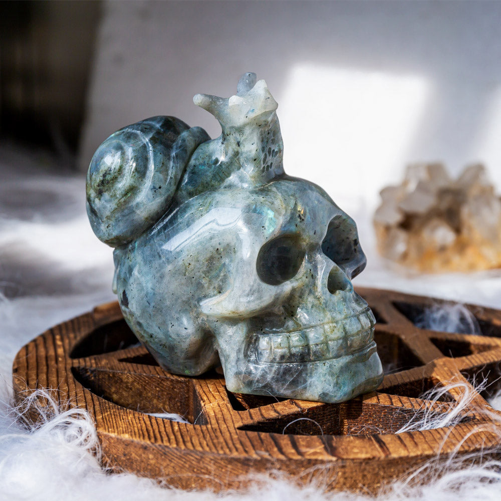 Labradorite snail skull