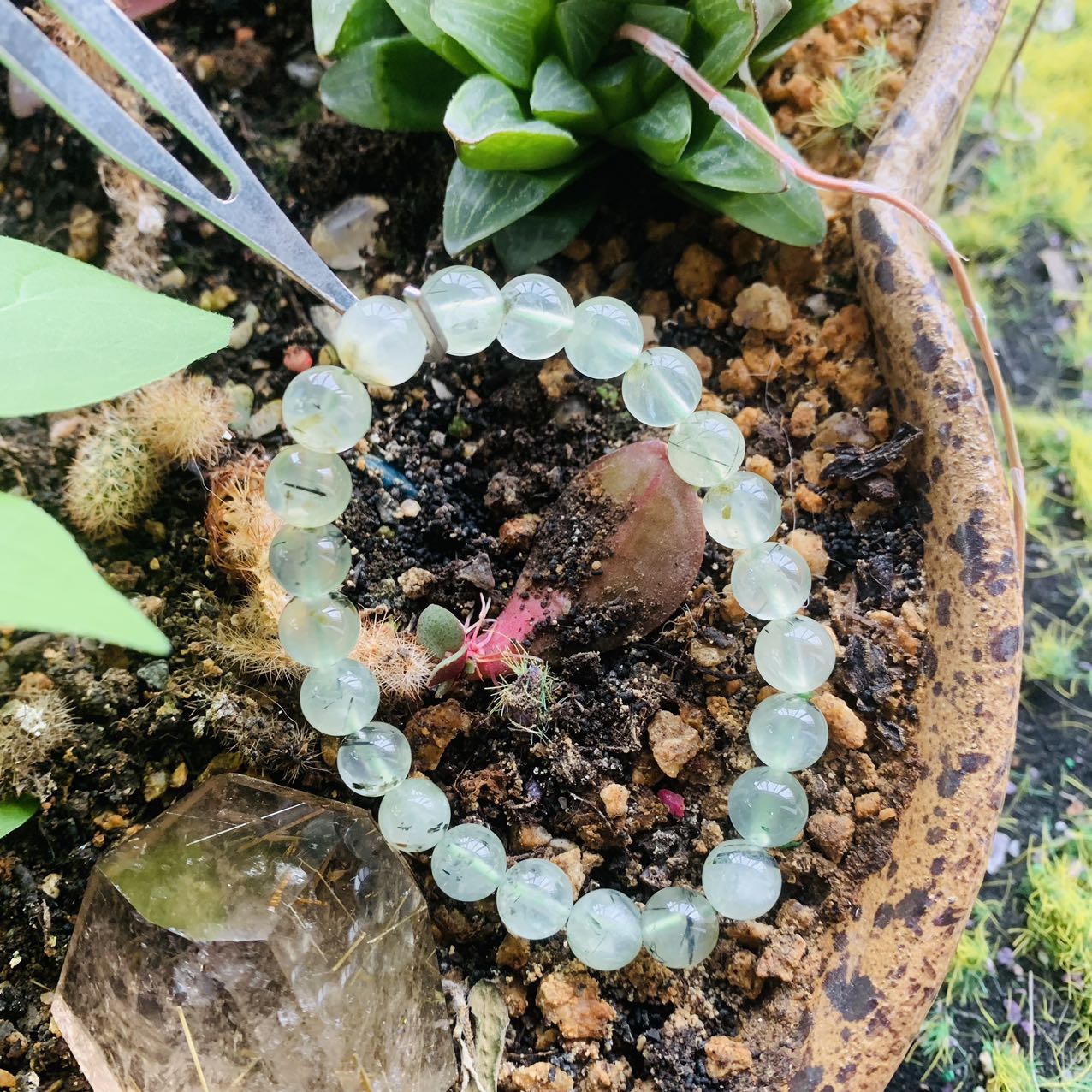 Prehnite Bracelet