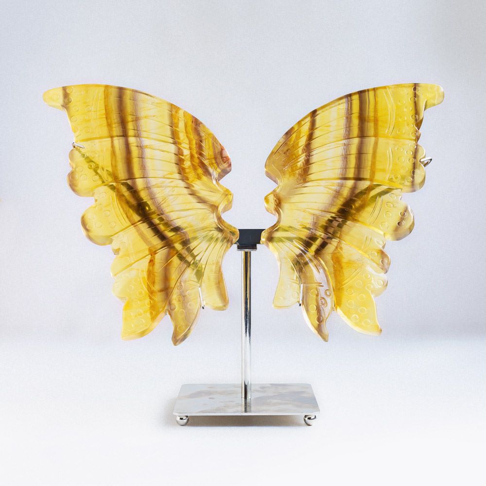 A pair of yellow fluorite wings