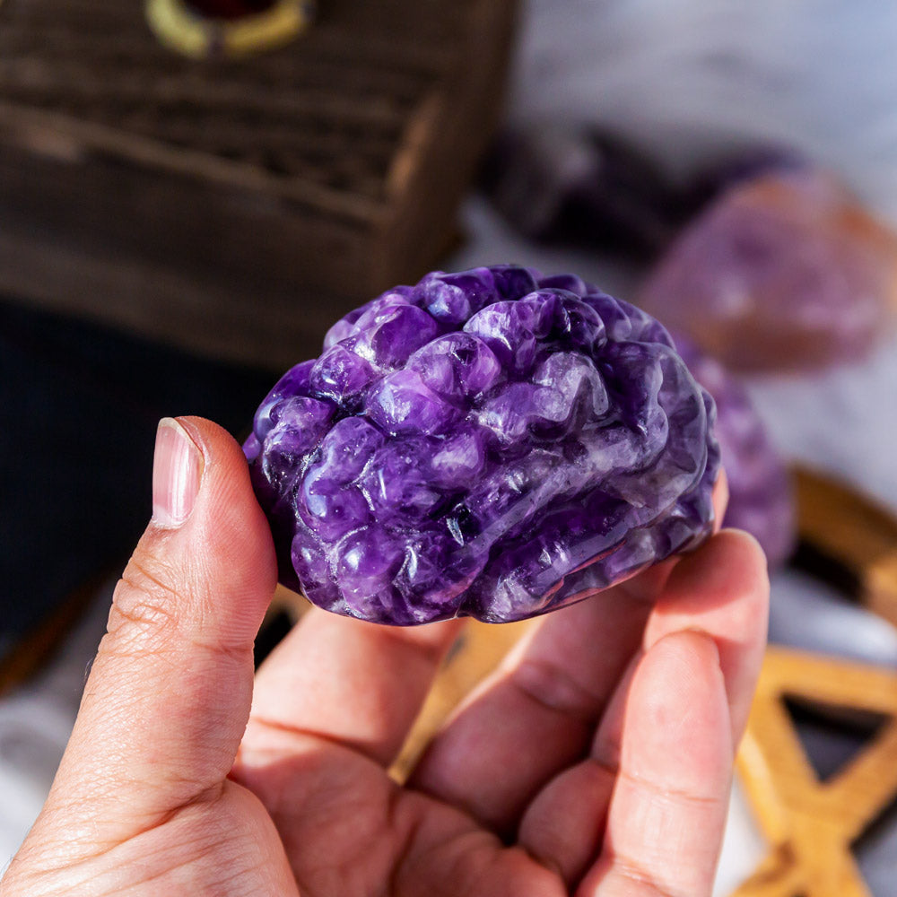 Dream Amethyst human brain