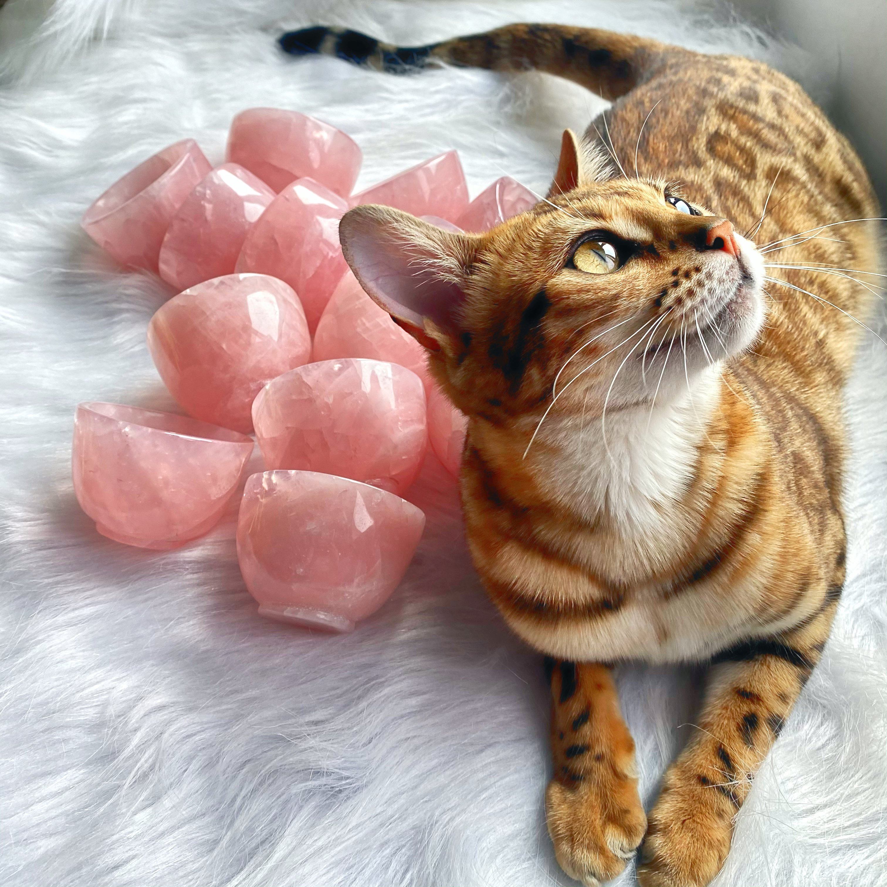 Clear quartz & Rose quartz small cup